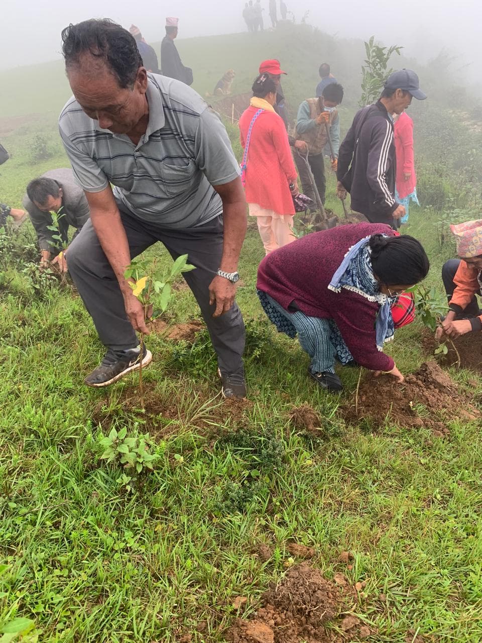 Group Planting Activity