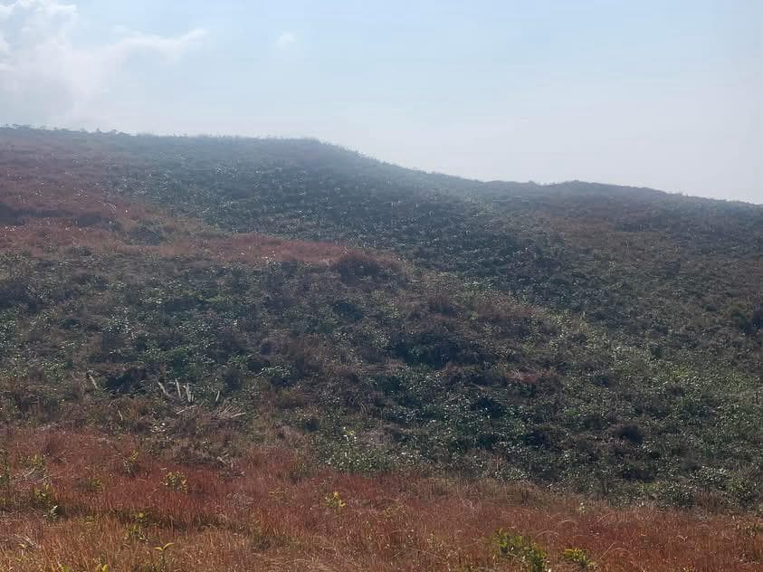 Farm from another angle